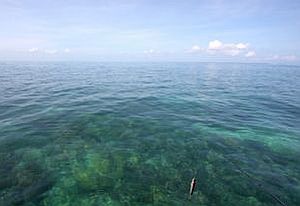 Marine parks consultation ends tonight